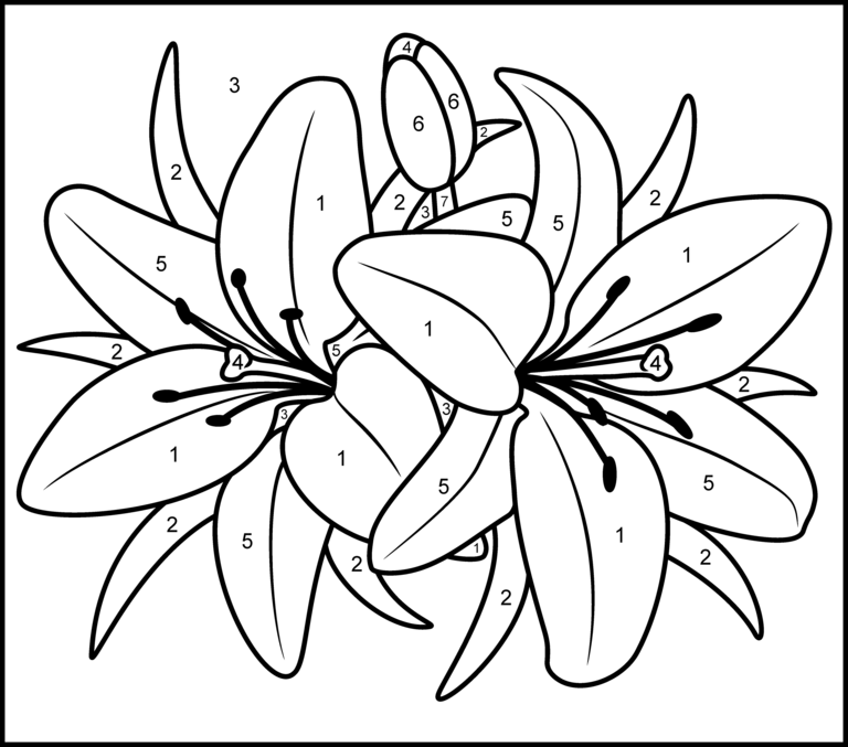 Lily - Printable Color by Number Page