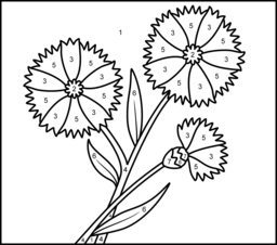 Cornflower - Online Color by Number Page