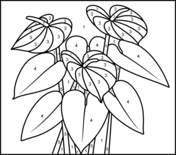 Anthurium - Online Color by Number Page