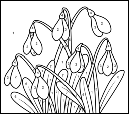 Snowdrop - Online Color by Number Page