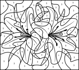 Lily - Online Color by Number Page - Hard